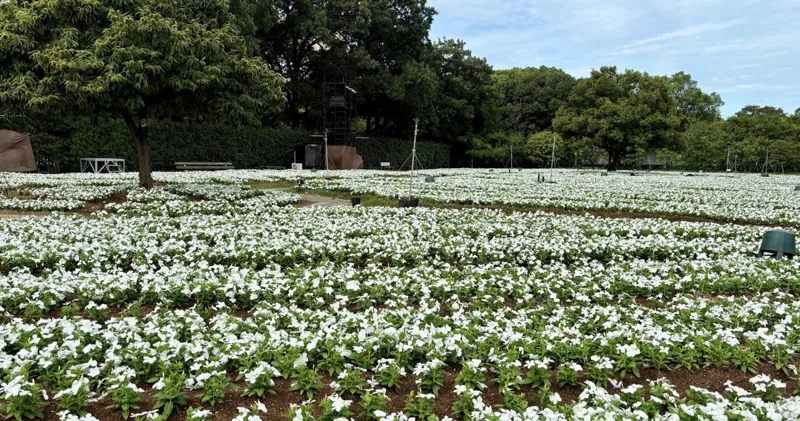 大阪市立長居植物園 3