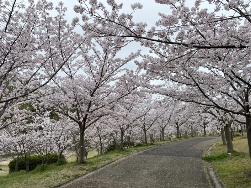 西神中央公園