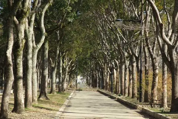 牛川遊歩道公園