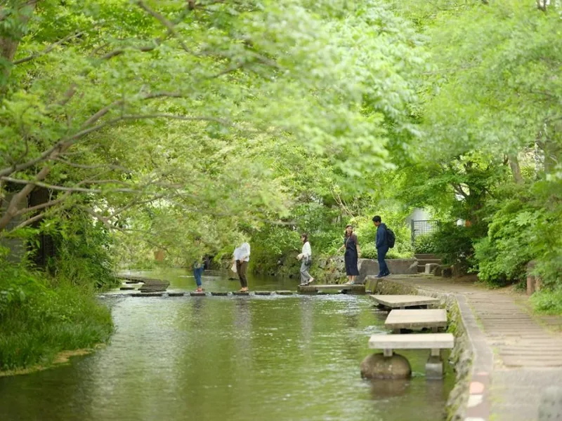 源兵衛川親水公園