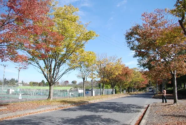 名張中央公園