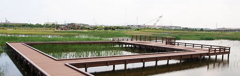 響灘ビオトープ