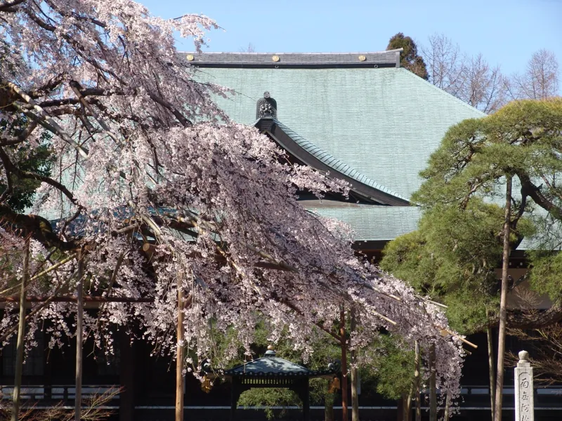 東漸寺 2
