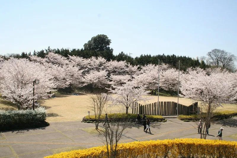 高尾さくら公園