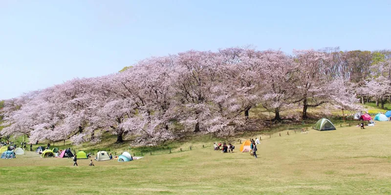 根岸森林公園 2
