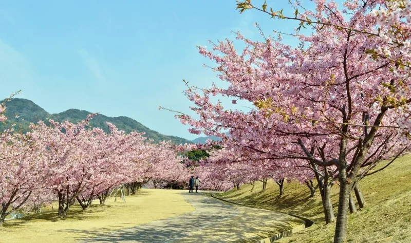 陶芸の村公園