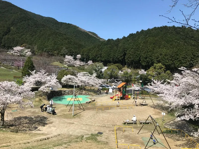 葛城山麓公園 2