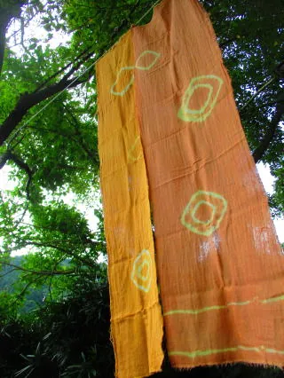 きのこ苑 お山のたいしょう 2