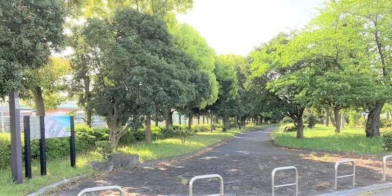 暁ふ頭公園 3