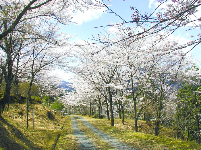 立雲峡