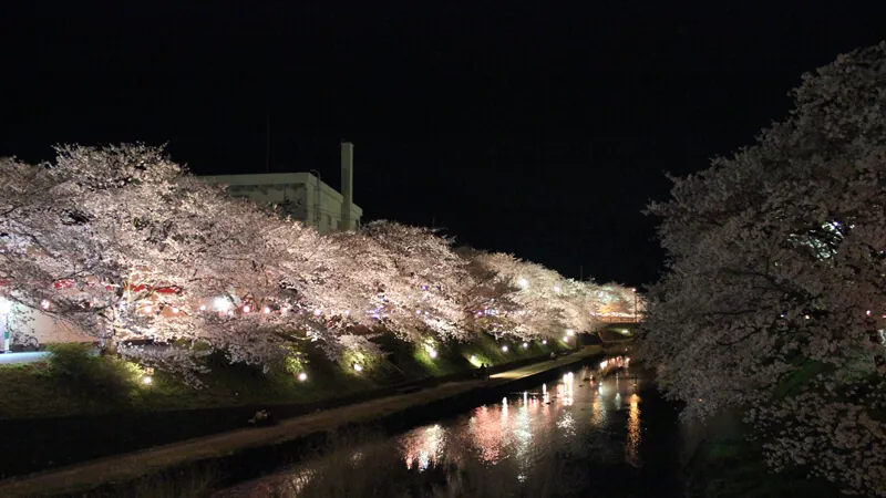 美祢さくら公園