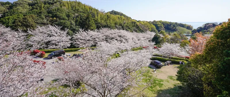 冠山総合公園 3
