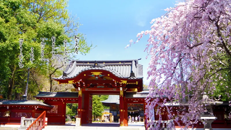 秩父神社 2