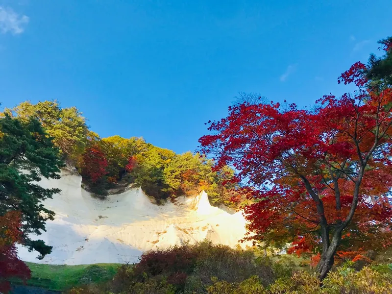 白岩森林公園