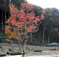 一ノ瀬親水公園 2