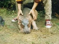 長崎バイオパーク 2