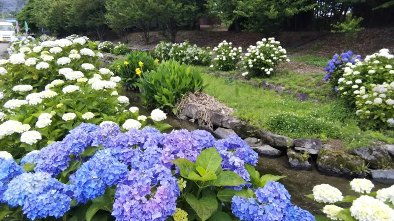 加茂川親水公園