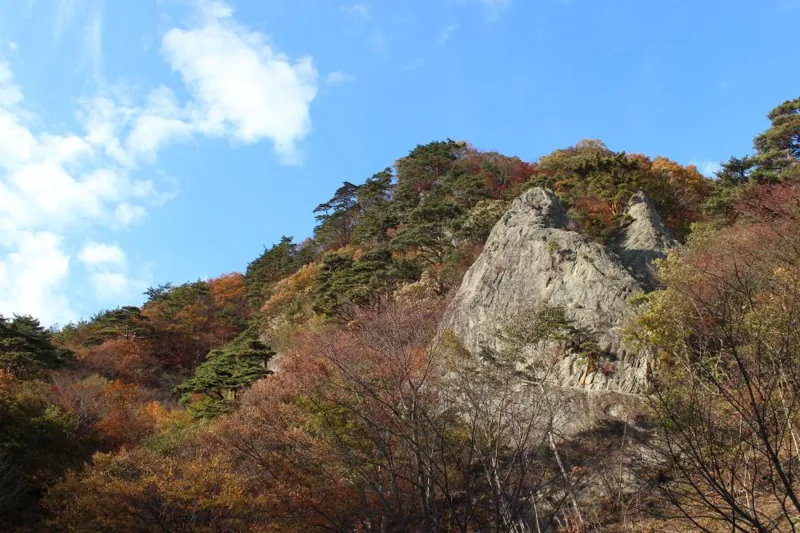 関山