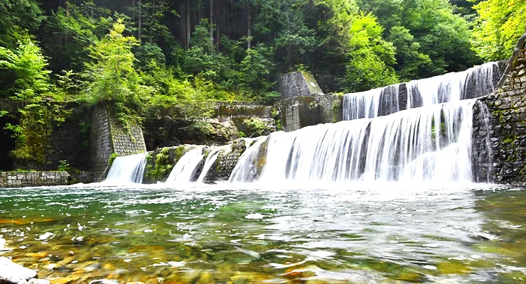 奥秩父源流中津川渓流釣場