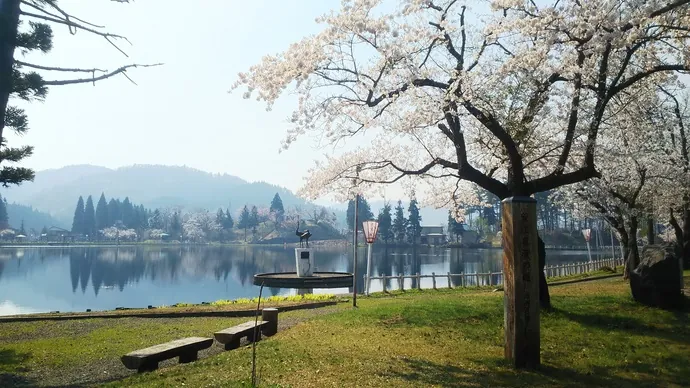 鶴ケ池公園
