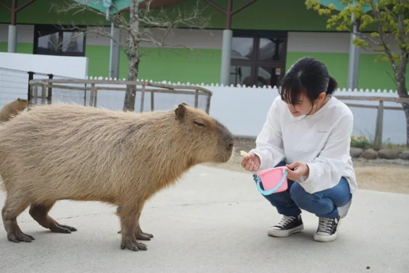 阿蘇ファームランド ふれあい動物王国 2