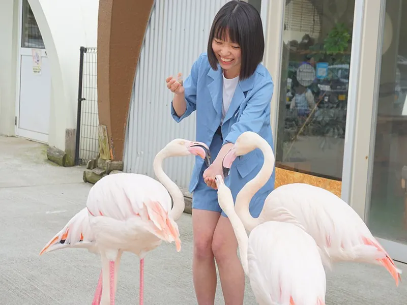 阿蘇ファームランド ふれあい動物王国 3