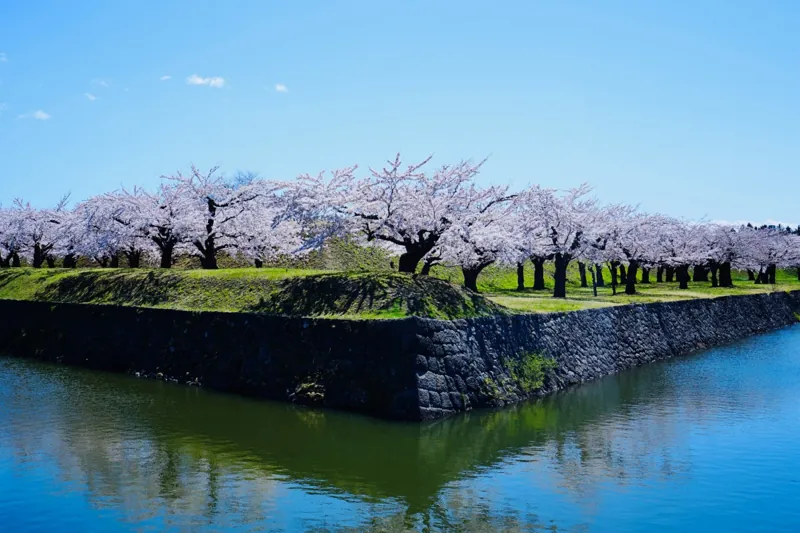   五稜郭公園 2