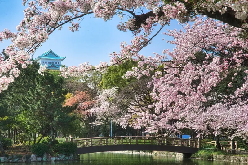 名城公園 フラワープラザ 2