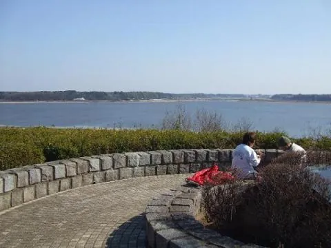 千葉県立印旛沼公園