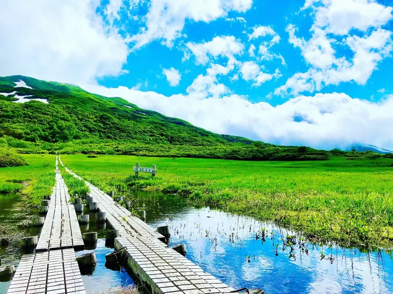 竜ヶ原湿原