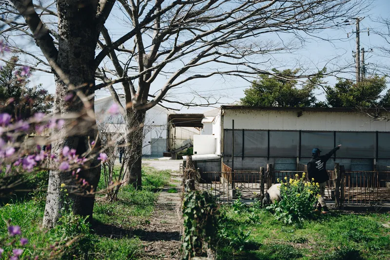 ふくどめ小牧場 1