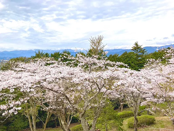 天母山自然公園 2