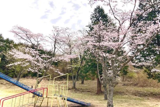 天母山自然公園 3