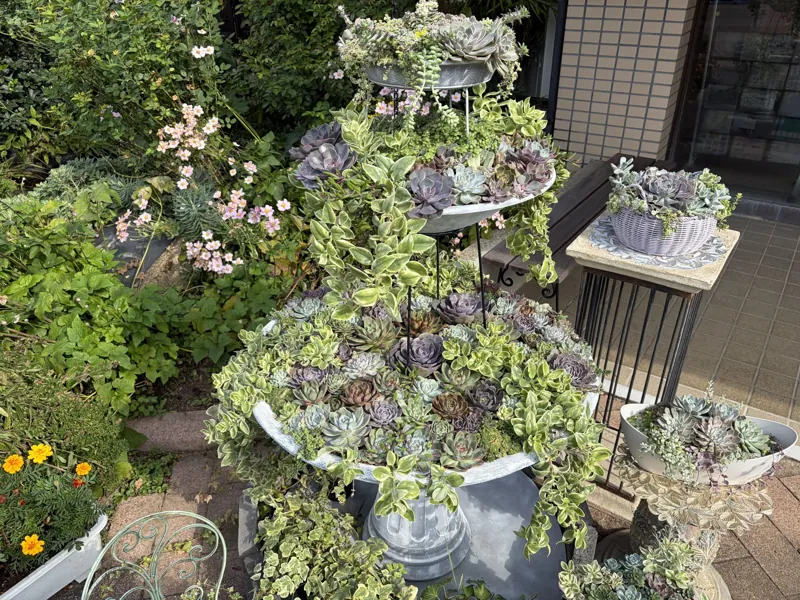 とちぎ花センター