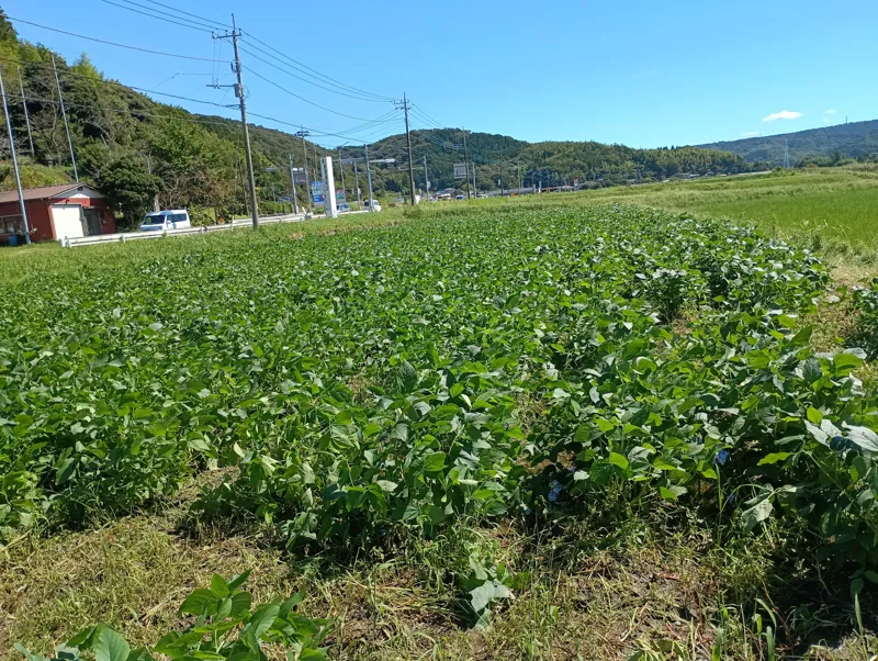 なごみの里君津