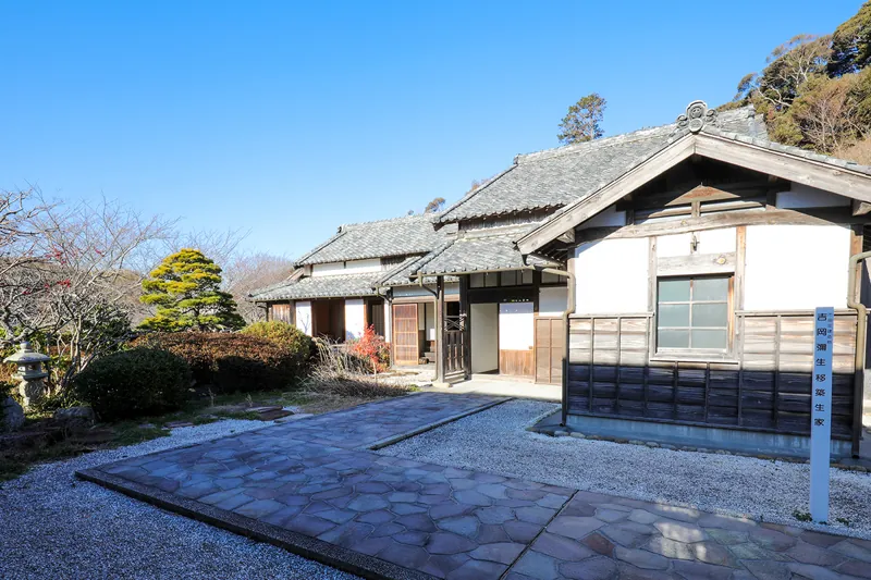 掛川市吉岡彌生記念館 2