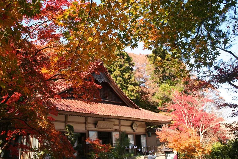 聖宝寺 1