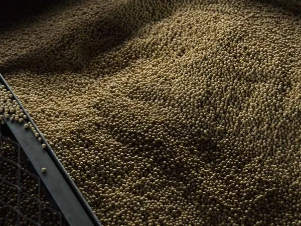 カクキュー八丁味噌(八丁味噌の郷) 1