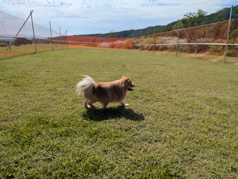 鳥海高原家族旅行村 2