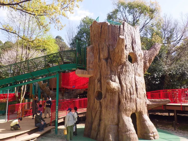 子どもの森(あいち健康の森公園) 3