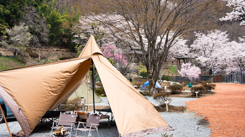 御坂路さくら公園オートキャンプ場 2
