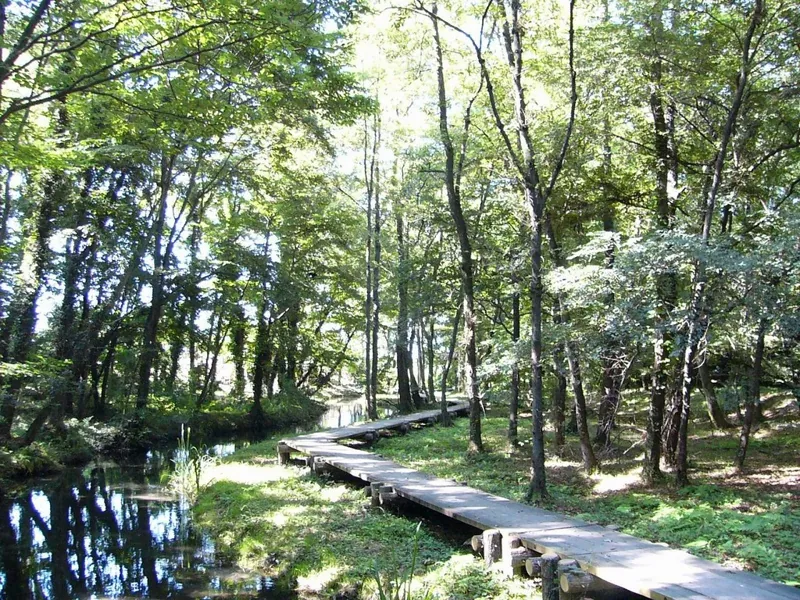 磯川緑地公園