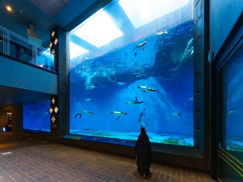 長崎ペンギン水族館 2