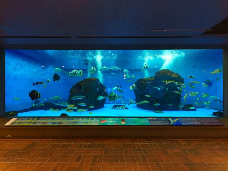 長崎ペンギン水族館 3