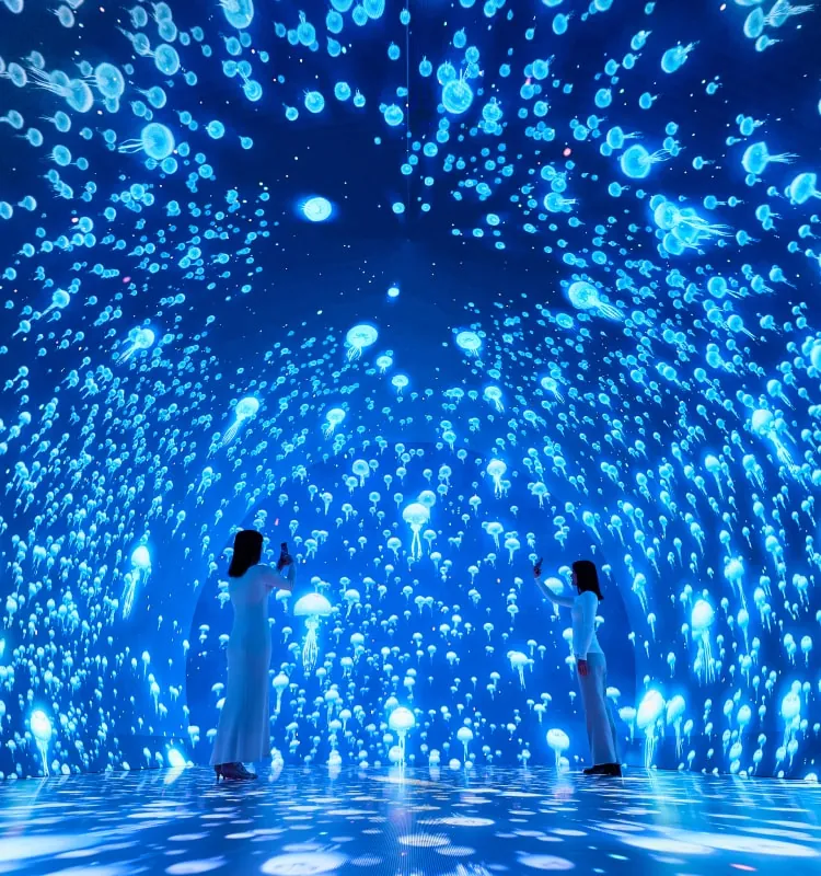 ワンダリア横浜