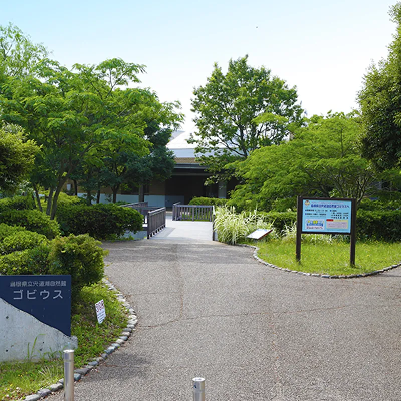 宍道湖自然館ゴビウス