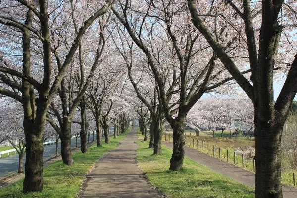 境町ふれあいの里