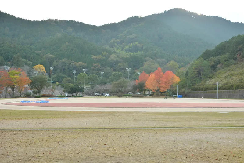 市営宇和運動公園