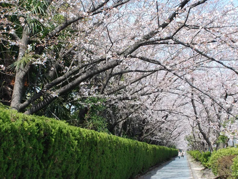 知多運動公園
