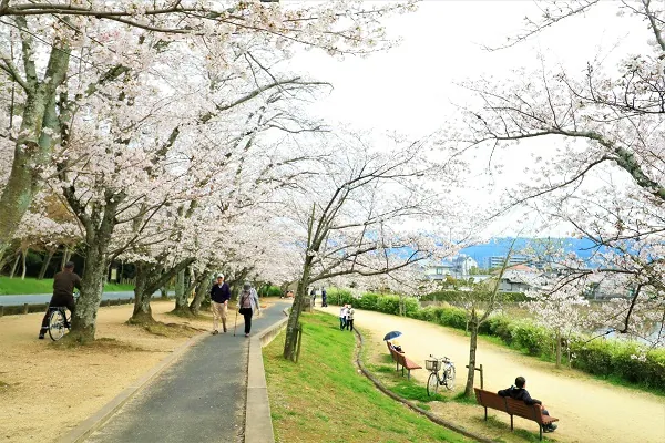 耳成山公園 2